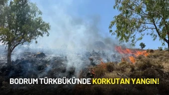 Bodrum Türkbükü'nde Korkutan Yangın! Ekipler Harekete Geçti