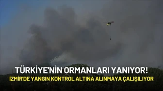 Türkiye'nin Ormanları Yanıyor! İzmir'de Yangın Kontrol Altına Alınmaya Çalışılıyor
