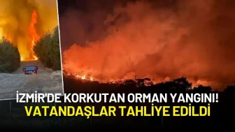 İzmir'de Korkutan Orman Yangını! Vatandaşlar Tahliye Edildi