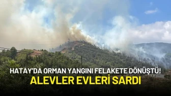 Hatay’da Orman Yangını Felakete Dönüştü! Alevler Evleri Sardı