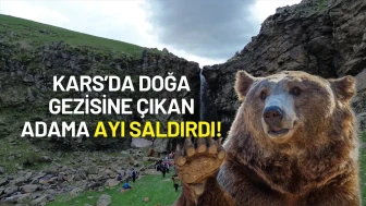 Kars’da Doğa Gezisine Çıkan Adama Ayı Saldırdı!