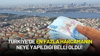 TÜİK Açıkladı: Türkiye’de En Fazla Harcamanın Neye Yapıldığı Belli Oldu!