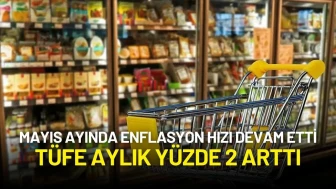 Mayıs Ayında Enflasyon Hızı Devam Etti: TÜFE Aylık Yüzde 2 Arttı