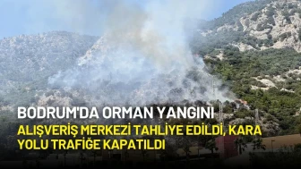 Bodrum'da Orman Yangını: Alışveriş Merkezi Tahliye Edildi, Kara Yolu Trafiğe Kapatıldı