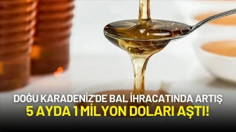 Doğu Karadeniz'de Bal İhracatında Artış: 5 Ayda 1 Milyon Doları Aştı!