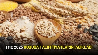 TMO 2025 Hububat Alım Fiyatlarını Açıkladı