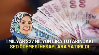 Aile ve Sosyal Hizmetler Bakanlığı Destek Ödemelerini Hesaplara Yatırıldığını Açıkladı