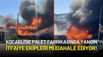 Kocaeli'de Palet Fabrikasında Yangın: İtfaiye Ekipleri Müdahale Ediyor!