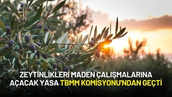 Zeytinlikleri Maden Çalışmalarına Açacak Yasa TBMM Komisyonu'ndan Geçti