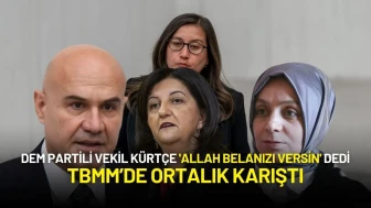 DEM Partili Vekil Meclis'te Kürtçe 'Allah Belanızı Versin' Dedi, Ortalık Karıştı