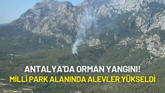 Antalya'da Orman Yangını! Milli Park Alanında Alevler Yükseldi