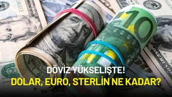 Dövizde Yükseliş Alarmı: Euro Tarihi Zirvede, Dolar İstikrarlı Yükseliyor!
