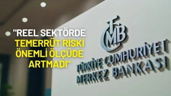 TCMB Analizi: "Reel Sektörde Temerrüt Riski Önemli Ölçüde Artmadı"