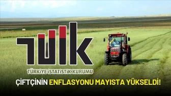 TÜİK Mayıs Ayı Tarım Ürünleri Üretici Fiyat Endeksi Verilerini Açıkladı