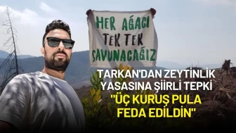 Tarkan'dan Zeytinlik Yasasına Şiirli Tepki: "Üç Kuruş Pula Feda Edildin"