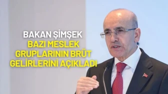 Bakan Şimşek Bazı Meslek Gruplarının Brüt Gelirlerini Açıkladı