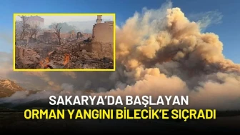 Sakarya’da Başlayan Orman Yangını Bilecik’e Sıçradı