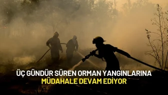Üç Gündür Süren Orman Yangınlarına Müdahale Devam Ediyor