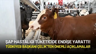 Şap Hastalığı Tüketicide Endişe Yarattı! TÜDKİYEB Genel Başkanı Çelik'ten Açıklama Geldi