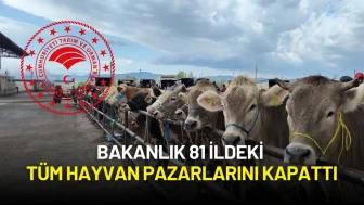 Şap Hastalığı Arttı! Bakanlık 81 İldeki Tüm Hayvan Pazarlarını Kapattı