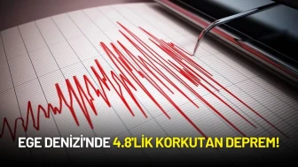 Ege Denizi'nde 4.8'lik Korkutan Deprem!