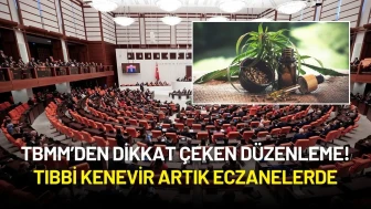 TBMM’den Dikkat Çeken Düzenleme! Tıbbi Kenevir Artık Eczanelerde