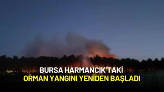 Bursa Harmancık’taki Orman Yangını Yeniden Başladı