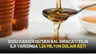 Doğu Karadeniz'den Bal İhracatı Yılın İlk Yarısında 1,25 Milyon Doları Aştı