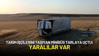 Diyarbakır Bismil'de Tarım İşçilerini Taşıyan Minibüs Tarlaya Uçtu! Yaralılar Var