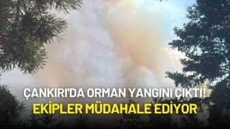 Çankırı'da Orman Yangını Çıktı! Ekipler Müdahale Ediyor