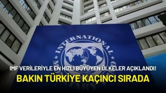 IMF Verileriyle En Hızlı Büyüyen Ülkeler Açıklandı! Bakın Türkiye Kaçıncı Sırada