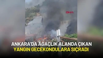Ankara'da Ağaçlık Alanda Çıkan Yangın Gecekondulara Sıçradı