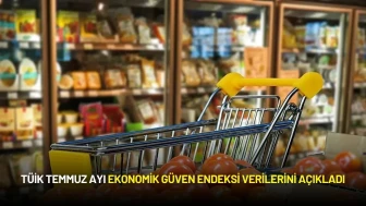 TÜİK Temmuz Ayı Ekonomik Güven Endeksi Verilerini Açıkladı