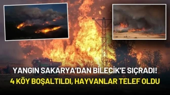 Sakarya ve Bilecik’te Orman Yangını! 4 Köy Boşaltıldı, Hayvanlar Telef Oldu