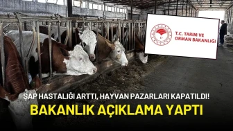 Şap Hastalığı Arttı, Hayvan Pazarları Kapatıldı! Bakanlık Açıklama Yaptı