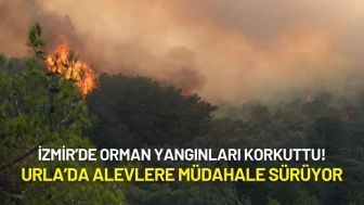 İzmir’de Orman Yangınları Korkuttu! Urla’da Alevlere Müdahale Sürüyor