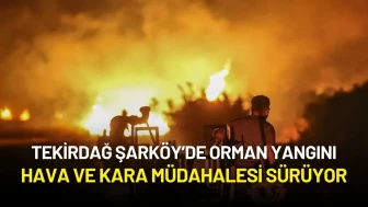 Tekirdağ Şarköy’de Orman Yangını: Hava ve Kara Müdahalesi Sürüyor