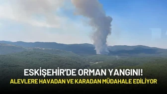 Eskişehir'de Orman Yangını! Alevlere Havadan ve Karadan Müdahale Ediliyor