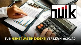 TÜİK Hizmet Üretim Endeksi Verilerini Açıkladı