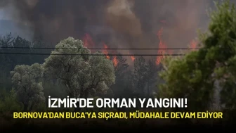 İzmir'de Orman Yangını! Bornova'dan Buca'ya Sıçradı, Müdahale Devam Ediyor