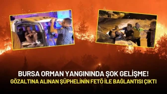 Bursa Orman Yangınında Şok Gelişme! Gözaltına Alınan Şüphelinin FETÖ ile Bağlantısı Çıktı