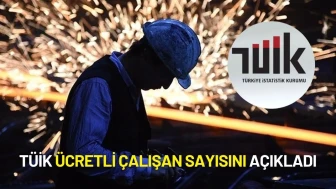 TÜİK Ücretli Çalışan Sayısını Açıkladı