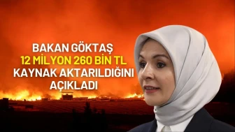 Bakan Göktaş Duyurdu: Yangın Bölgelerine 12 Milyon TL Destekte Bulunuldu