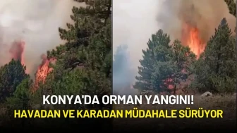 Konya'da Orman Yangını! Havadan ve Karadan Müdahale Sürüyor