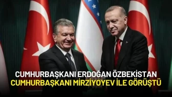 Cumhurbaşkanı Erdoğan Özbekistan Cumhurbaşkanı Mirziyoyev ile Görüştü