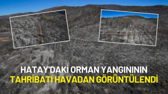 Hatay'daki Orman Yangınının Tahribatı Havadan Görüntülendi