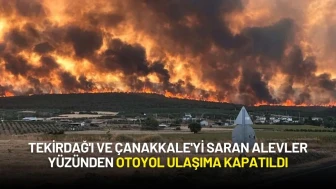 Tekirdağ'ı ve Çanakkale'yi Saran Alevler Yüzünden Otoyol Ulaşıma Kapatıldı