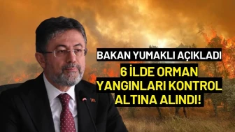 Bakan Yumaklı Açıkladı: 6 İlde Orman Yangınları Kontrol Altına Alındı!