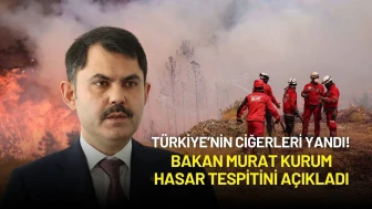 Bakan Murat Kurum'dan Yangın Hasar Tespiti Açıklaması