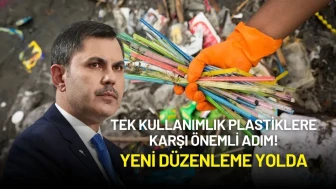 Tek Kullanımlık Plastiklere Karşı Tarihi Adım! Yeni Düzenleme Yolda